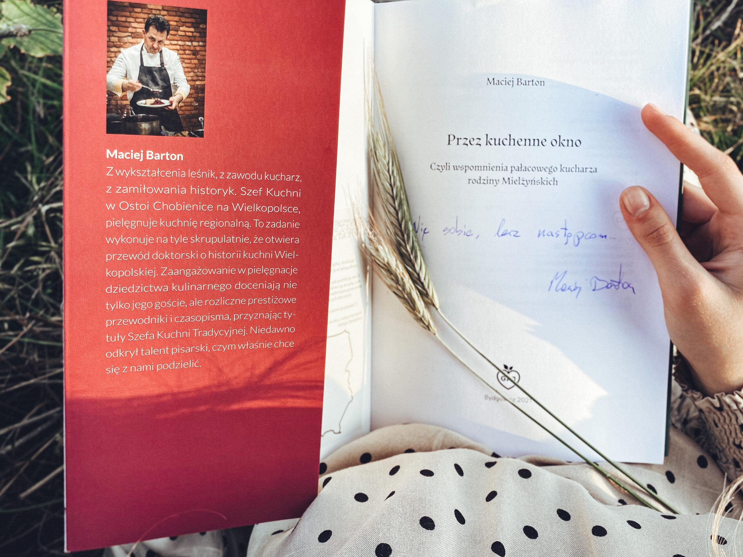 Przez kuchenne okno - obrazek 3